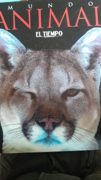 Image of Mundo Animal